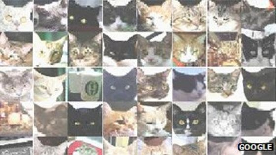 Google machine learning - cats